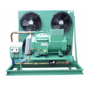 Bitzer Air Cooled Condensing Unit